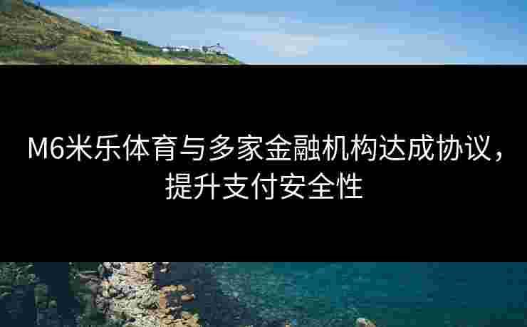 M6米乐体育与多家金融机构达成协议，提升支付安全性