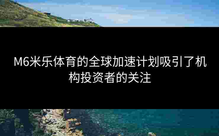 M6米乐体育的全球加速计划吸引了机构投资者的关注