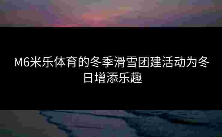 M6米乐体育的冬季滑雪团建活动为冬日增添乐趣