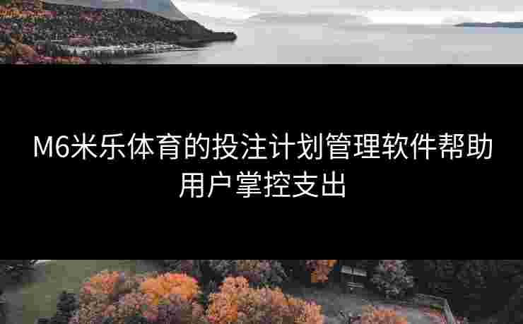 M6米乐体育的投注计划管理软件帮助用户掌控支出