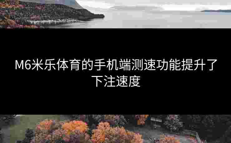 M6米乐体育的手机端测速功能提升了下注速度