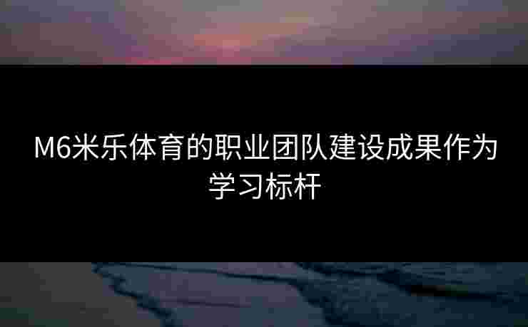 M6米乐体育的职业团队建设成果作为学习标杆
