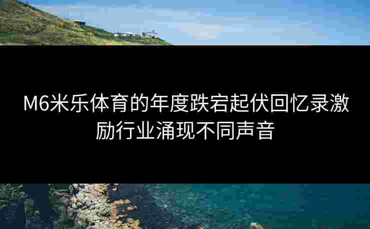 M6米乐体育的年度跌宕起伏回忆录激励行业涌现不同声音